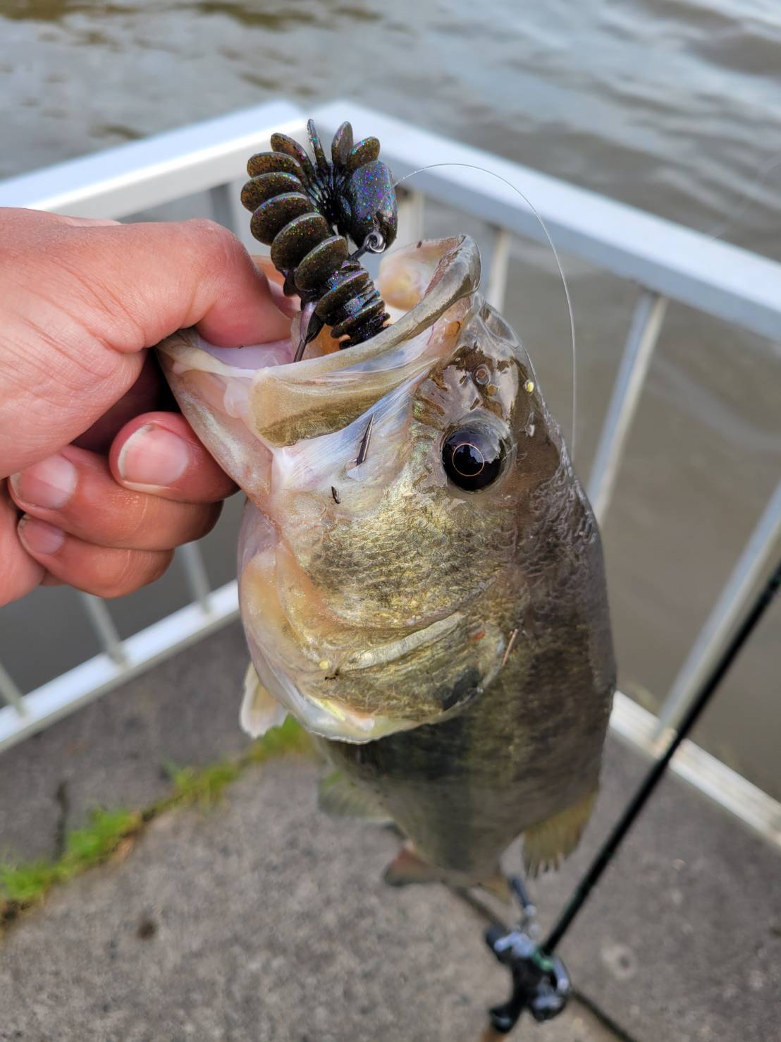 ギミーで釣れたバス